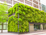 Ecological architecture, green living facade of the building