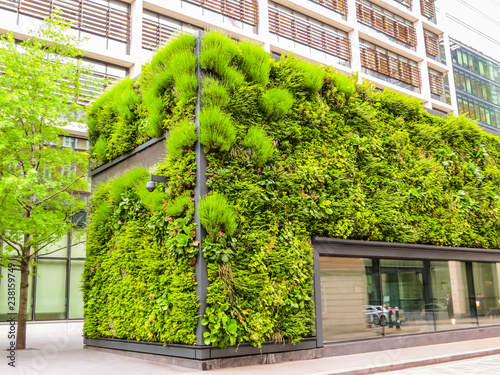 Ecological architecture, green living facade of the building