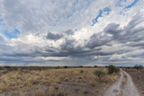 Thunderstorm at the Central Kalahari Game Reserve in Botswana