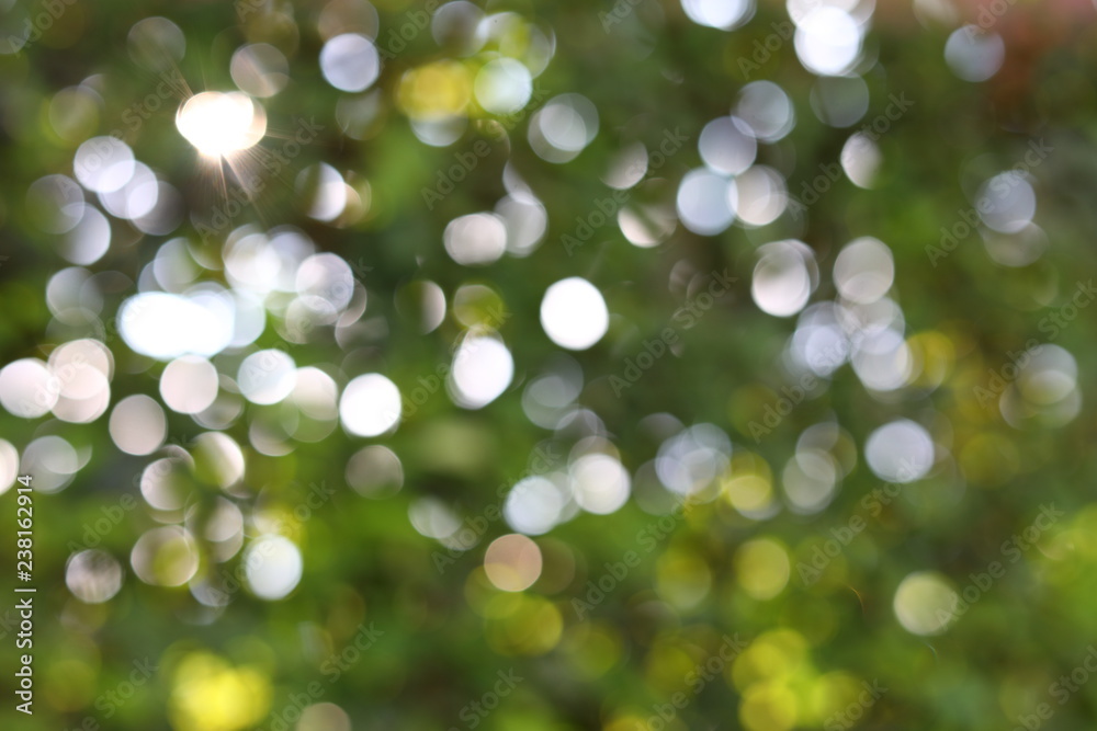 Obraz premium abstract blur sun light summer in the morning with green bokeh nature background