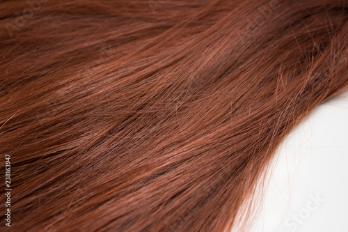 red brown hair on white background