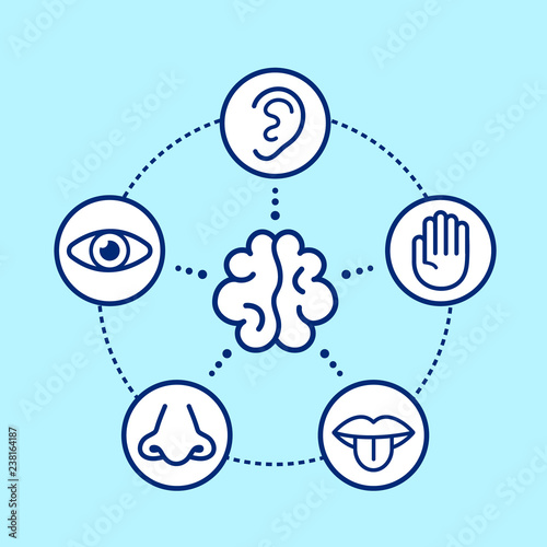 Five human senses surrounding brain. 
