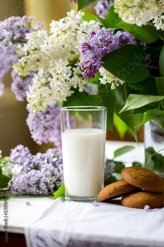 Morning. Spring season. Mood. Flowering lilac. A glass of cow's milk and oatmeal cookies.