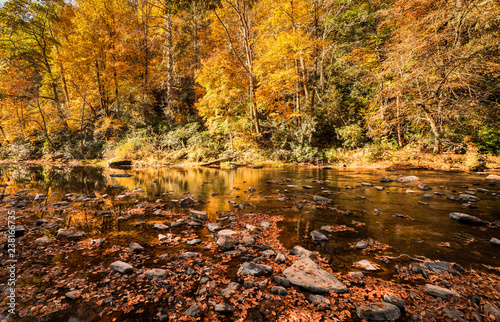 Fototapeta Naklejka Na Ścianę i Meble -  fall color landscape with forest and river and fallen leaves in the foreground near Linville Falls in North Carolina