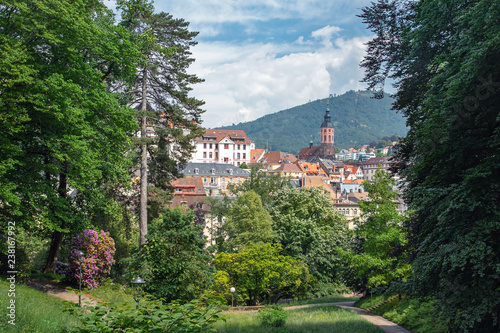 Panoramic view on collegiate church Baden-Baden Germany Europe in the summer