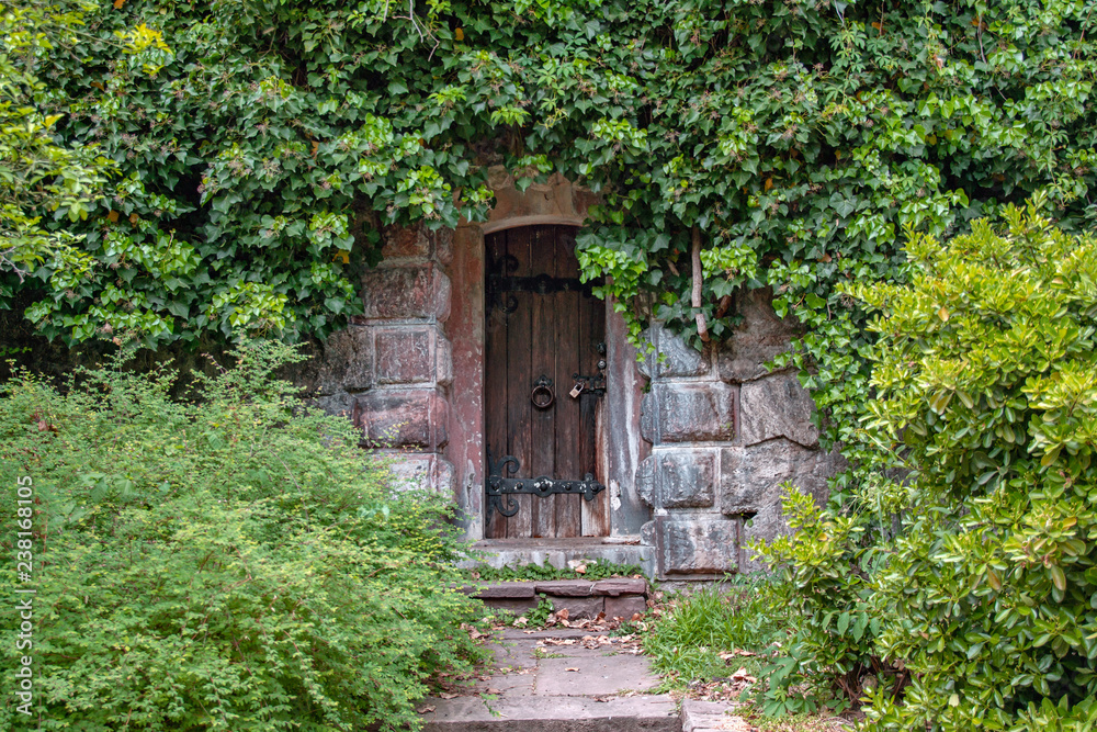 Secret old door hiden in the green garden