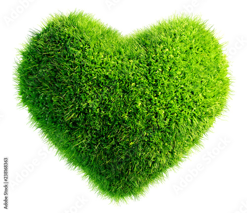 green leaves in heart shape isolated