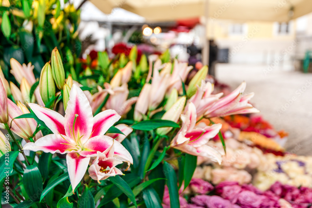 Fototapeta premium Flower market
