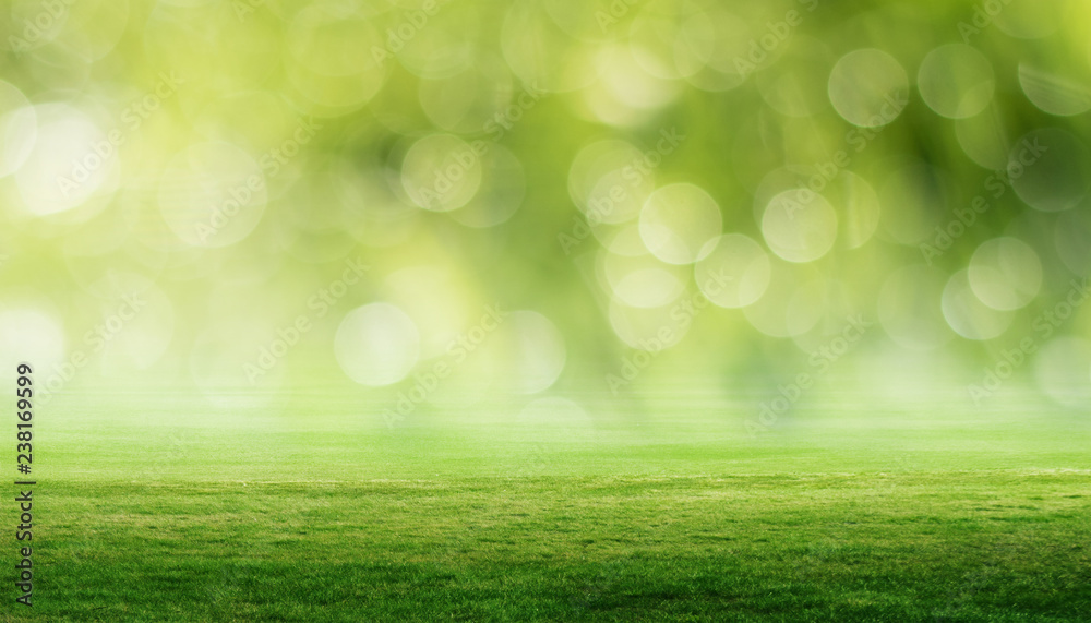 Fototapeta premium Panoramic green landscape