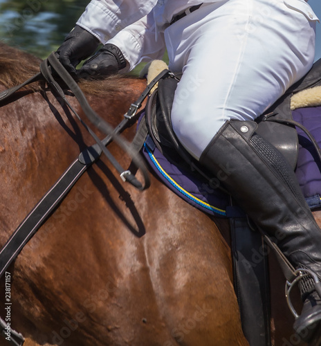 Saddle with stirrups on stallion