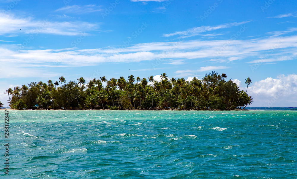 Landscape of little island with palm trees, seen from the water surface in the lagoon, Pacific ocean, French Polynesia