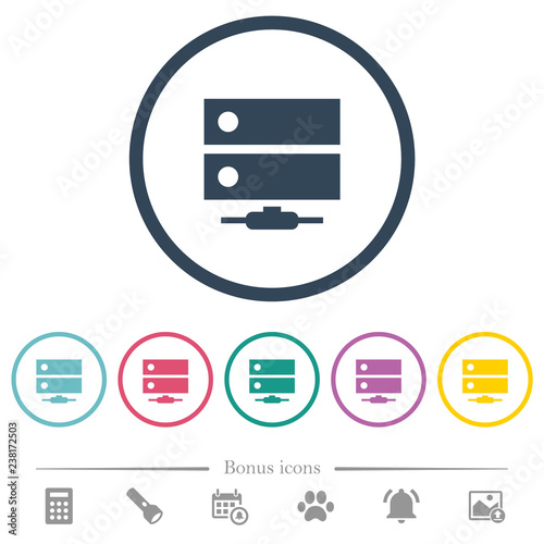 Network drive flat color icons in round outlines