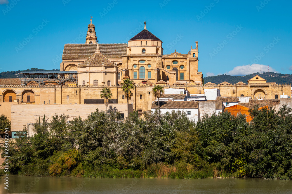 Exterior of Mezquita (mosque- cathedral) with fence and lush green trees on shore of Guadalquivir river in Cordoba, Spain