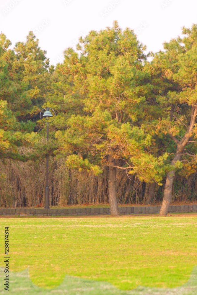 Naklejka premium 公園
