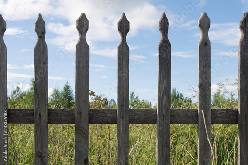 old wooden fence behind which is visible overgrown abandoned plot of land