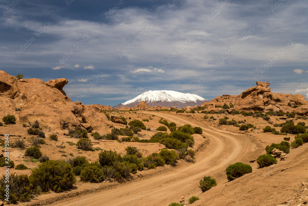 Road across Bolivian Altiplano. Snow capped peak in the background