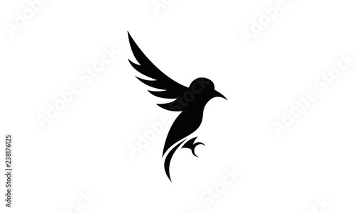 wild flying bird logo