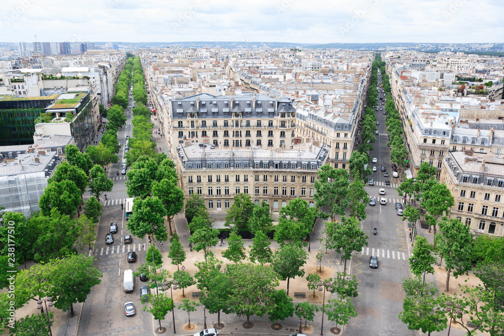 Paris aerial view with long avenues