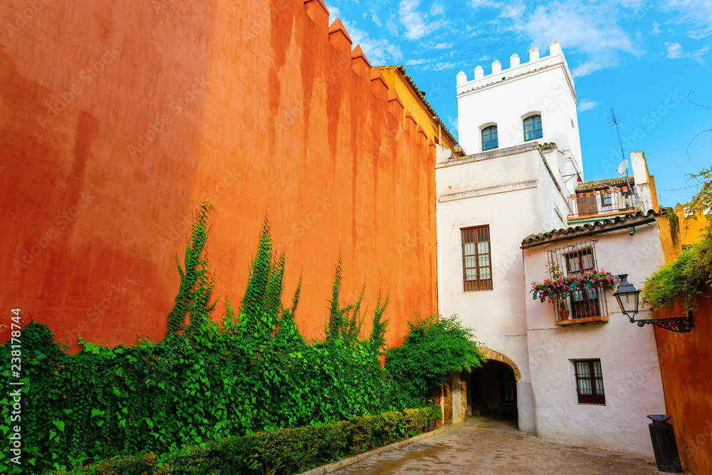 exterior wall of the Alcazar in Seville, Spain