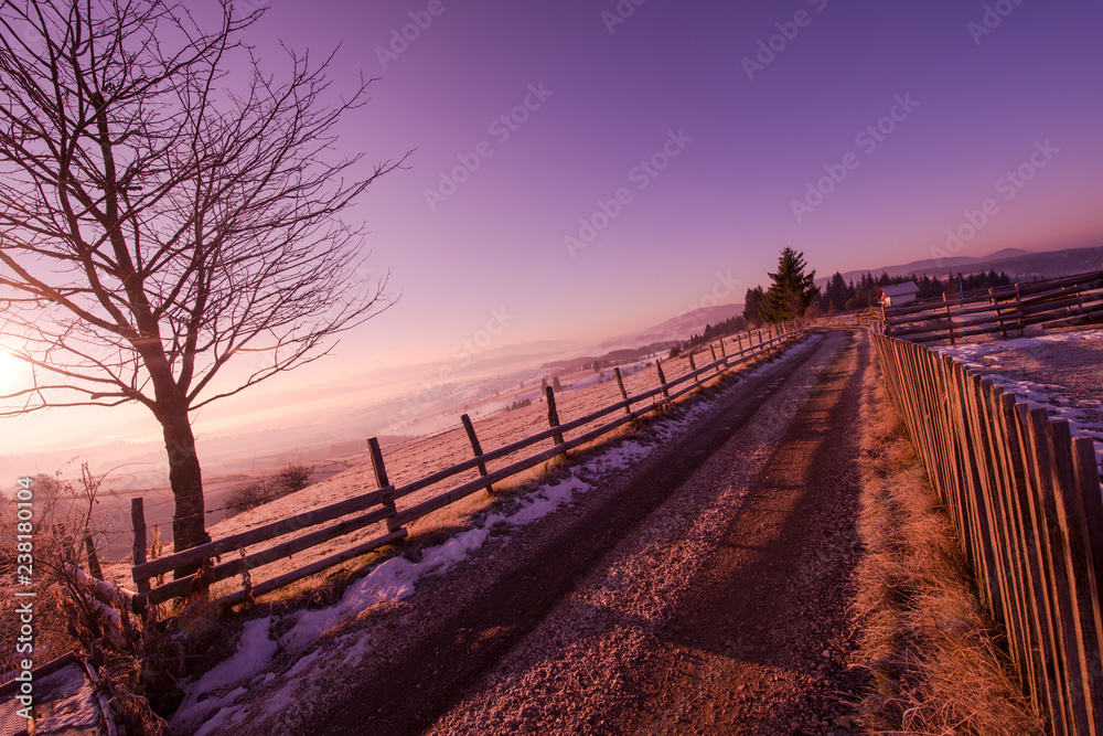 winter landscape scenic  with lonely tree