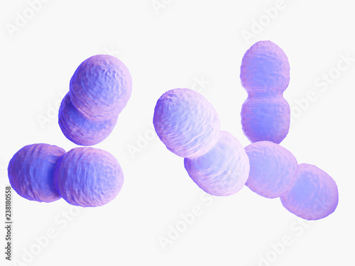 3d rendered medically accurate illustration of an enterococcus bacteria photo