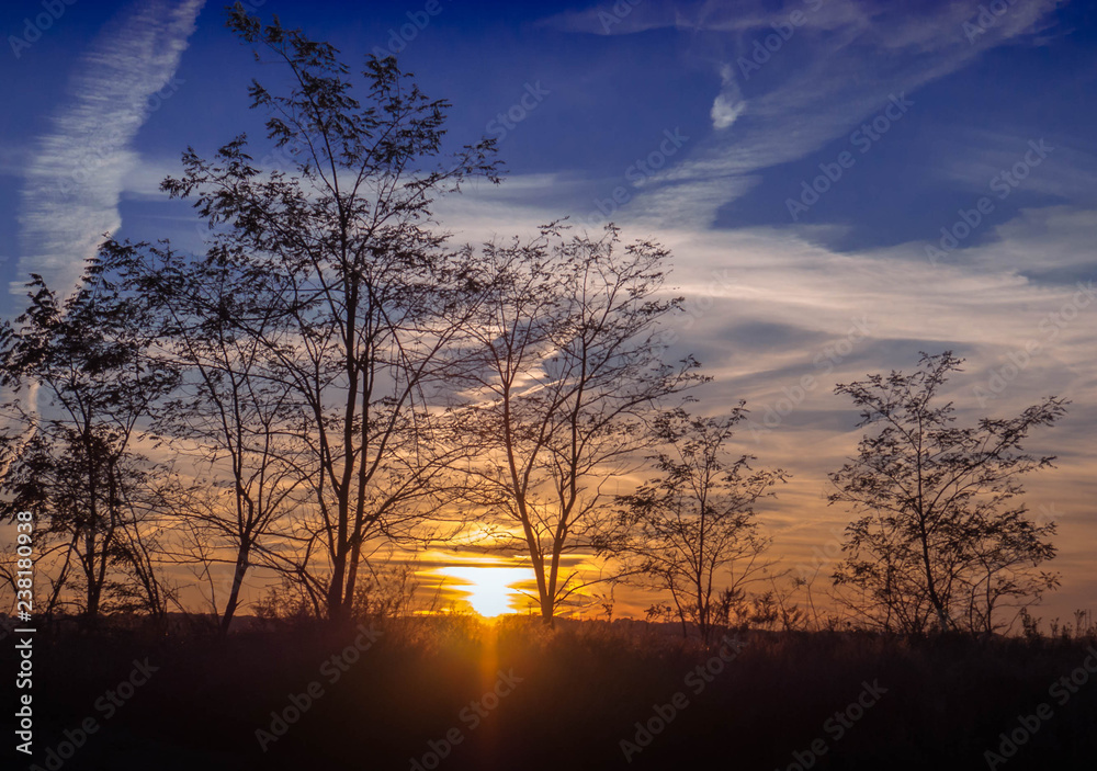 Sun coming thru the trees