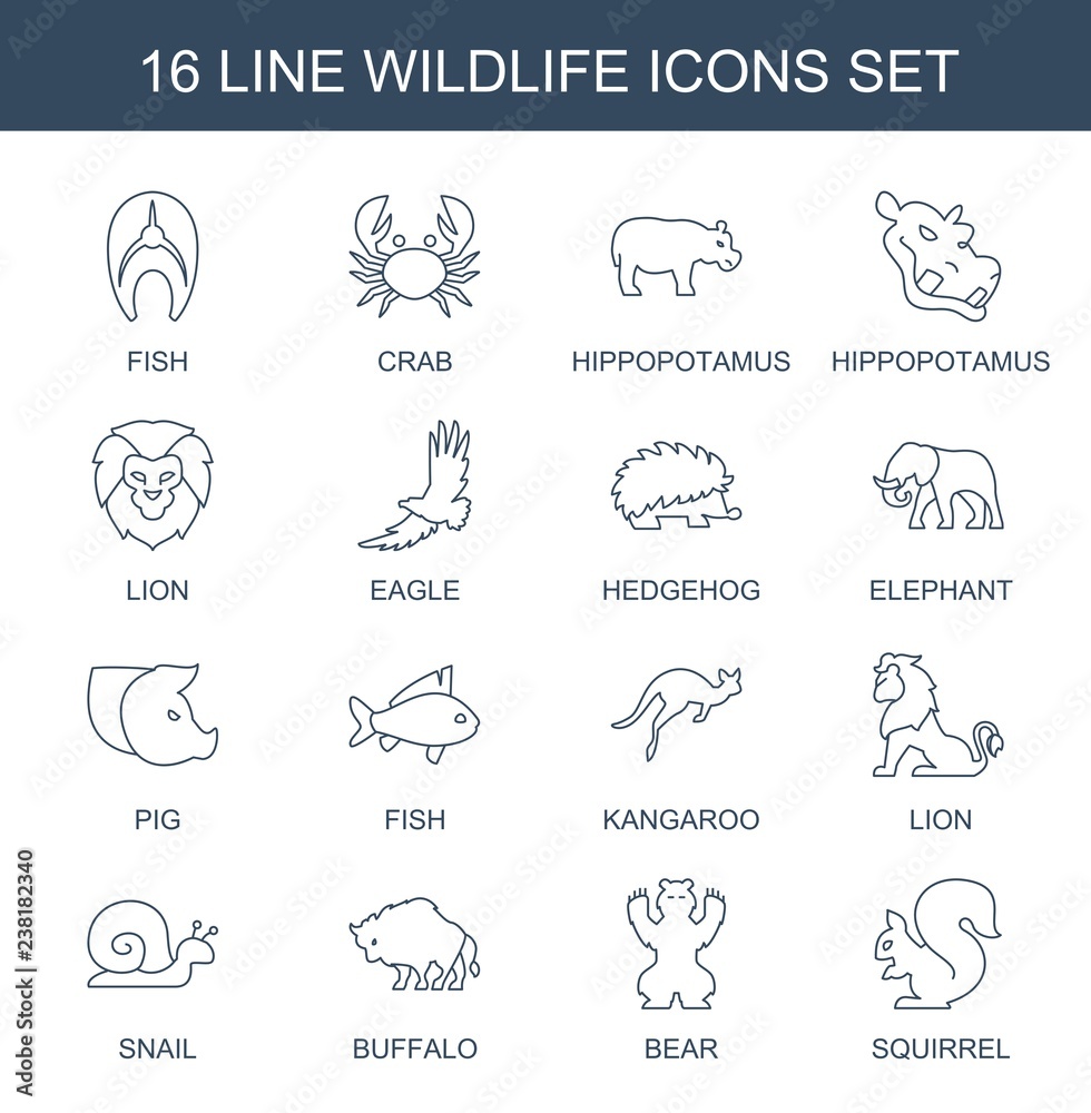 wildlife icons. Trendy 16 wildlife icons. Contain icons such as fish, crab, hippopotamus, lion, eagle, hedgehog, elephant, pig, kangaroo, snail. wildlife icon for web and mobile.