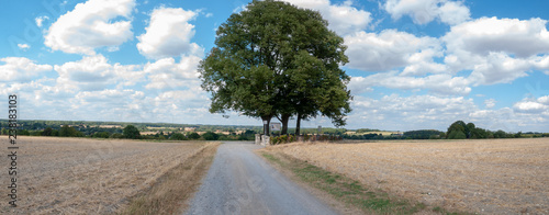 Weitblick photo