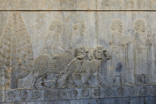 The beautiful reliefs in the ruins of Ancient Persepolis Complex of Near Eastern civilisation with persian architecture, Pars - Iran