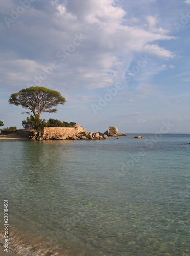 Palombaggia - Corsica - France photo