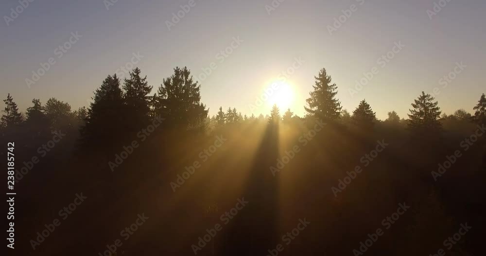 Aerial autumn landscape with forest Aerial autumn landscape with forest