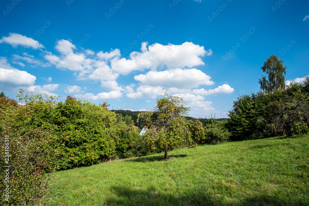 Obraz premium Romantic landscape Koenigsbronn