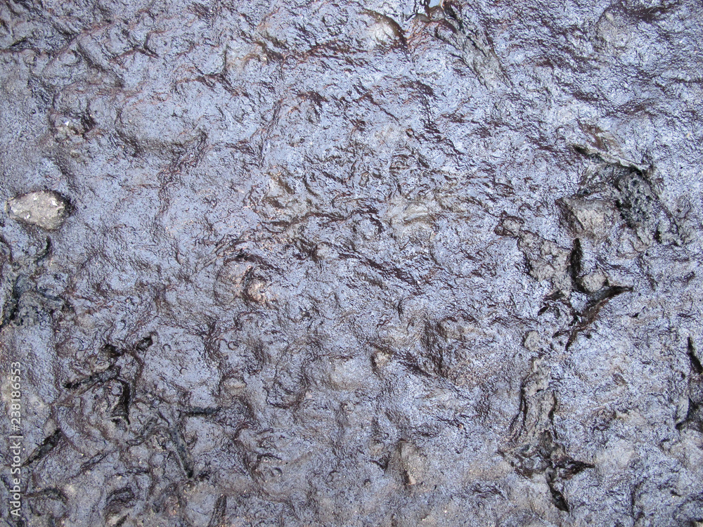 Background of Wet Soil, Texture of Muddy Soil Background of Wet Soil, Texture of Muddy Soil