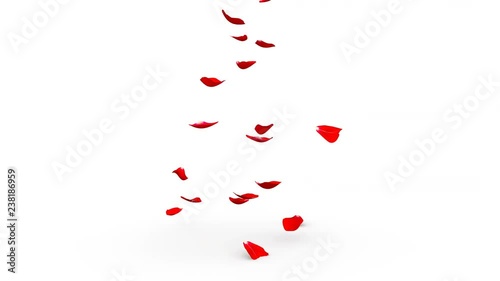 Red rose petals flying on the floor on both sides. Alpha mask included. Quality 4K video