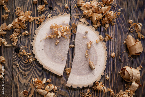 Принти на полотні Wood shavings and Ashen tree cross section on the carpenter's workbench close up