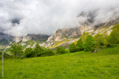 Picos de Europa