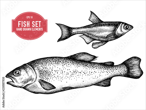 Vector collection of hand drawn black and white fish