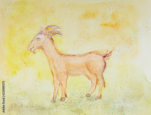 Chinese zodiac, year of the goat. The dabbing technique near the edges gives a soft focus effect due to the altered surface roughness of the paper.
