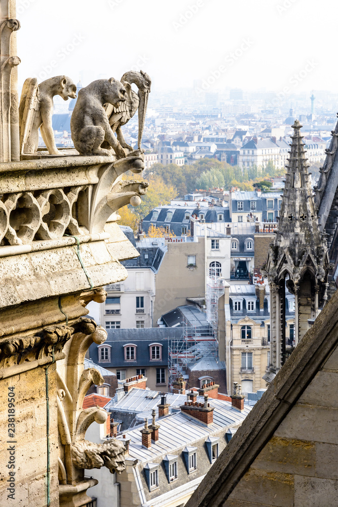 Three stone statues of chimeras overlooking the rooftops of the historic center of Paris from the towers gallery of Notre-Dame cathedral with the city vanishing in the mist in the distance.
