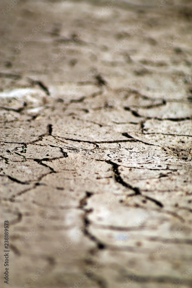 Obraz premium Focus on dried up earth