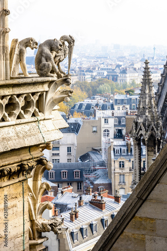 Three stone statues of chimeras overlooking the rooftops of the historic center of Paris from the towers gallery of Notre-Dame cathedral with the city vanishing in the mist in the distance.