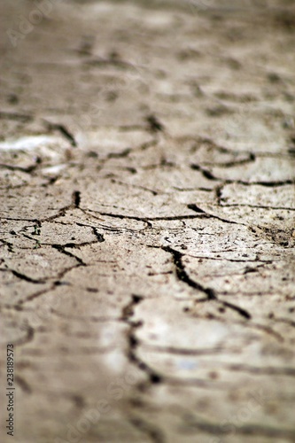 Focus on dried up earth
