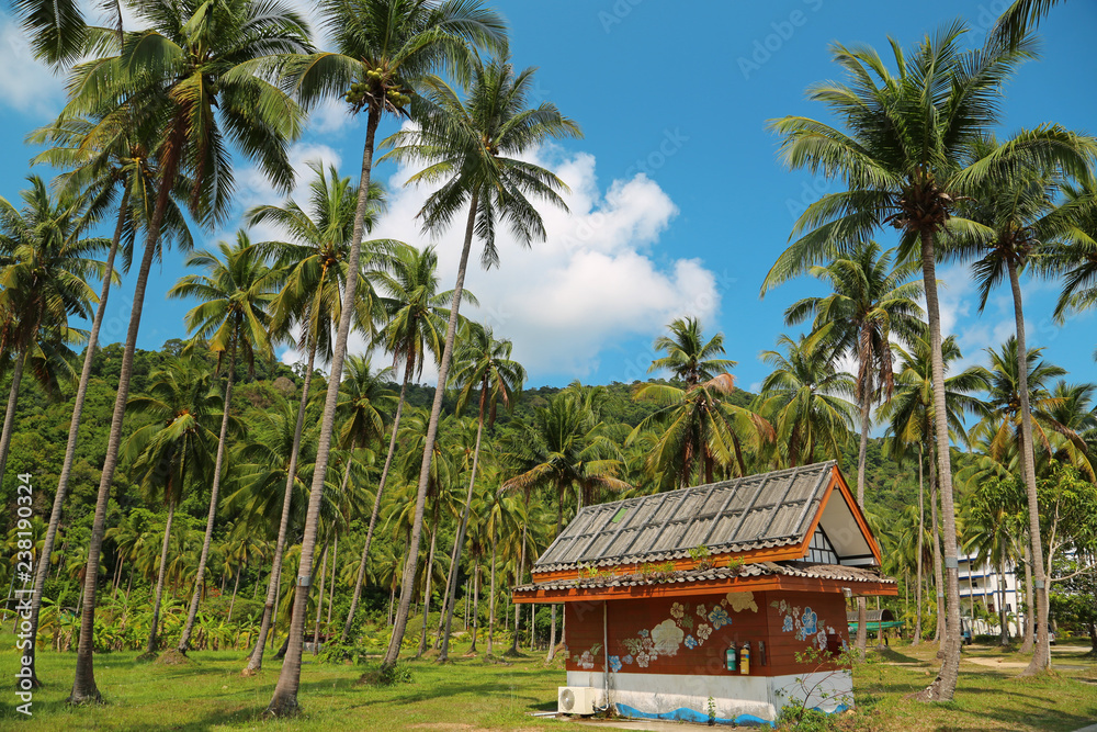 Little house amongst palms on Koh-Chang island, Thailand