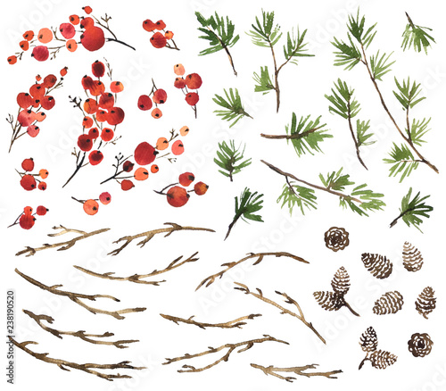Watercolor set of holly berries, spruce, pine cones and dry twigs for Christmas decoration