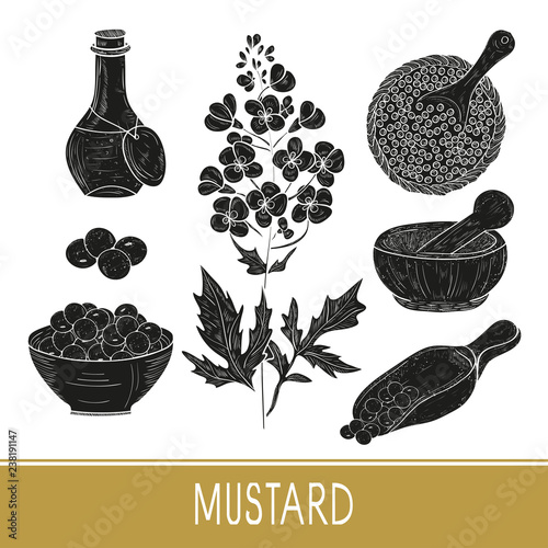 Mustard. Plant. Flowers, leaves, seed. Bowl, spoon, mortar. Black silhouette. Set.
