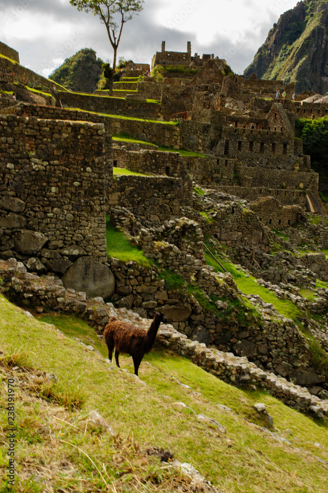 Φωτογραφία The Land of the Incas