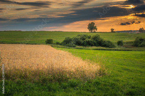 Fototapeta Naklejka Na Ścianę i Meble -  Landscape with masurian meadows near Banie Mazurskie, Masuria, Poland