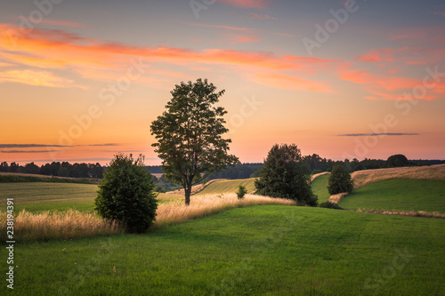 Fototapeta Naklejka Na Ścianę i Meble -  Landscape with masurian meadows near Banie Mazurskie, Masuria, Poland
