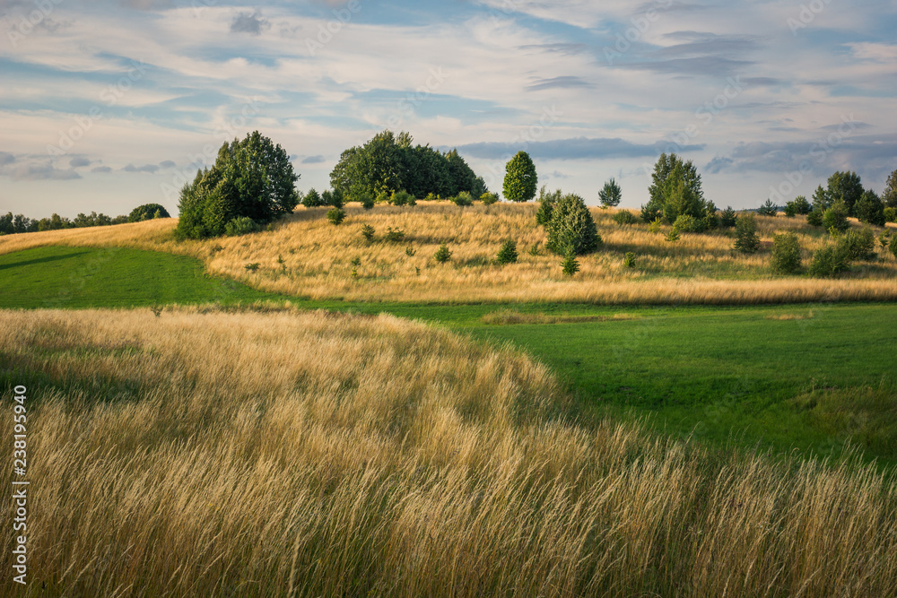 Landscape with masurian meadows near Banie Mazurskie, Masuria, Poland