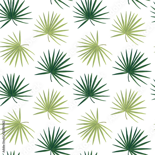 Tropical background with jungle plants. Seamless vector tropical pattern with green palm leaves.